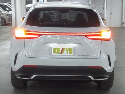 LEXUS NX - 10