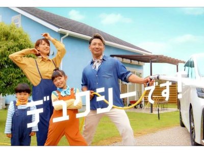 TOYOTA LAND CRUISER 250 - 3