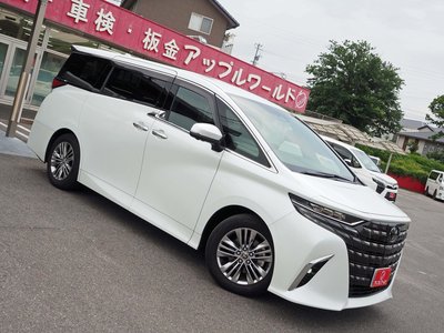 2025 Toyota ALPHARD — миниатюра 11