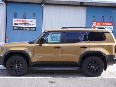 TOYOTA LAND CRUISER 250 - 10