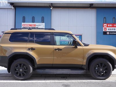 TOYOTA LAND CRUISER 250 - 9