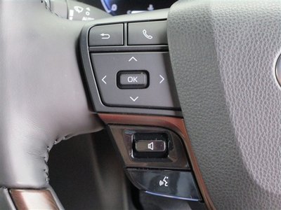 2024 TOYOTA ALPHARD 缩略图 37