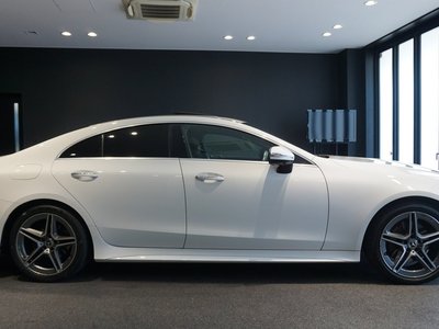 2021 Mercedes-BENZ CLS 缩略图 11