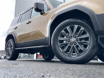 2024 Toyota LAND CRUISER 250 缩略图 38