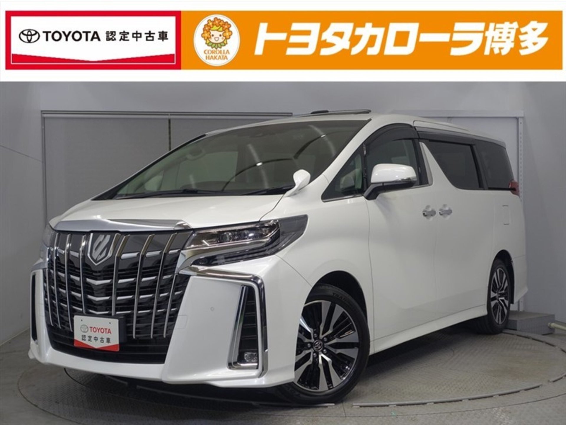TOYOTA ALPHARD - View 1