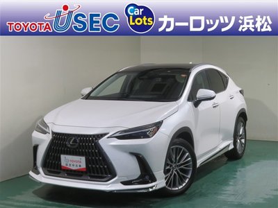 LEXUS NX - 1