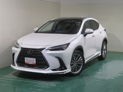 LEXUS NX - 8