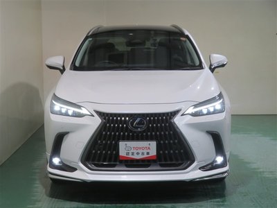 LEXUS NX - 9