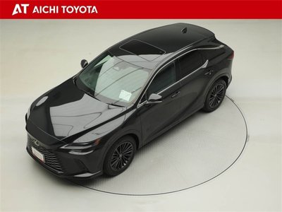 LEXUS RX - 10