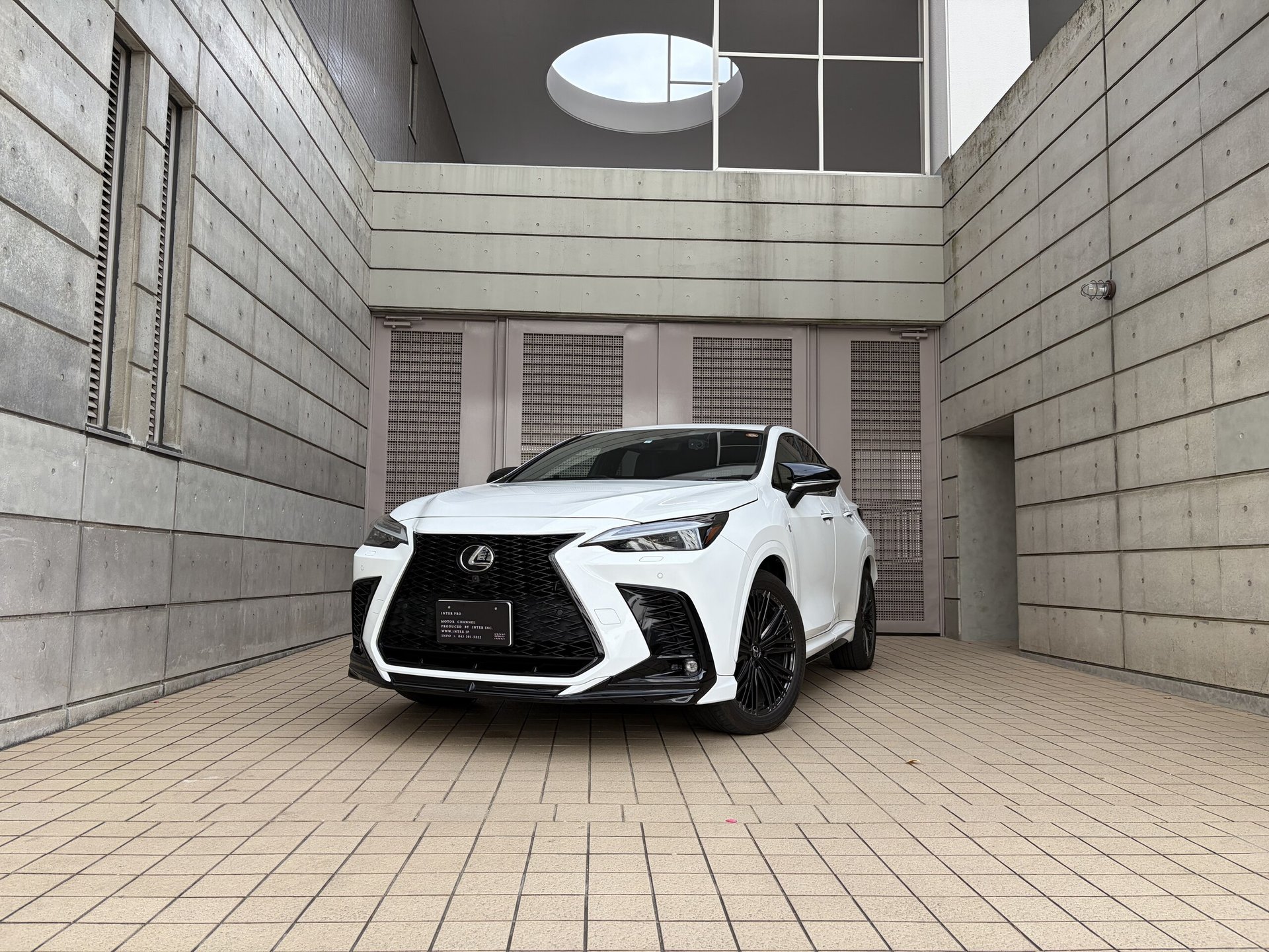 LEXUS NX - View 1