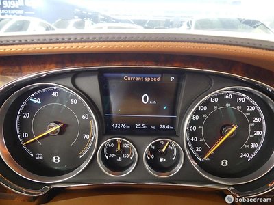 2016 Bentley FLYING SPUR 照片 8
