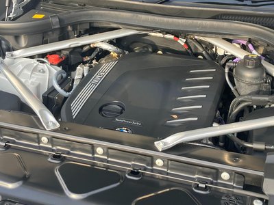 2021 BMW X5 缩略图 171
