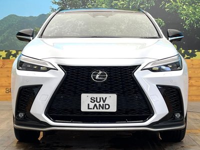 صورة مصغرة 14 لـ 2023 Lexus NX