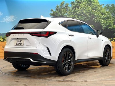 صورة مصغرة 17 لـ 2023 Lexus NX