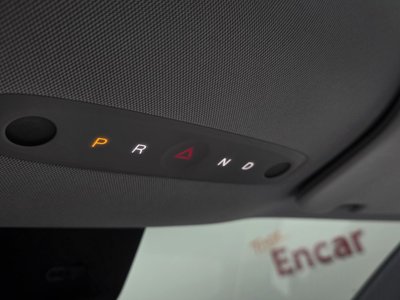 2025 Tesla MODEL Y thumbnail 12