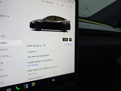 2025 Tesla MODEL Y thumbnail 11