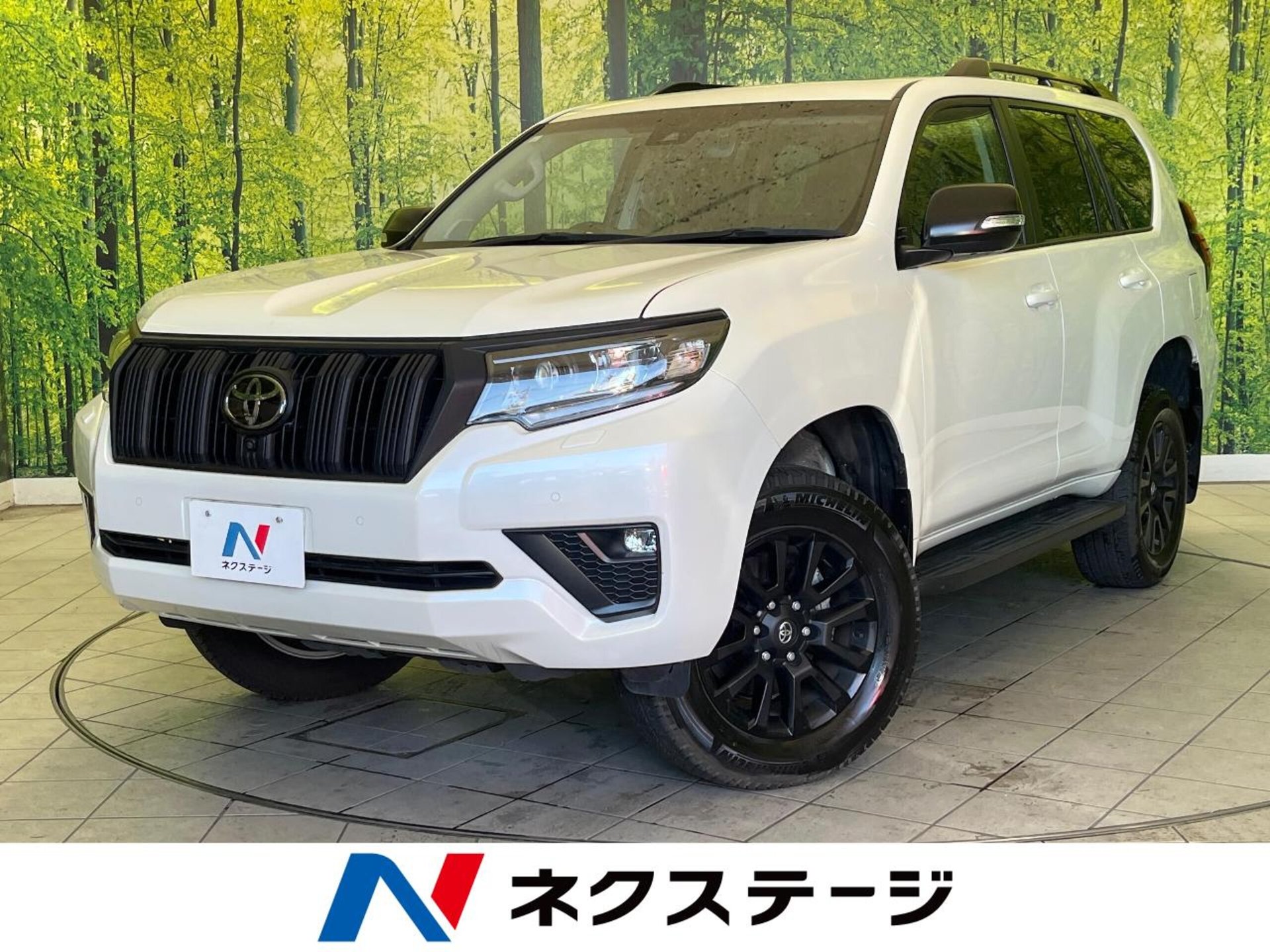 TOYOTA LAND CRUISER PRADO - View 1