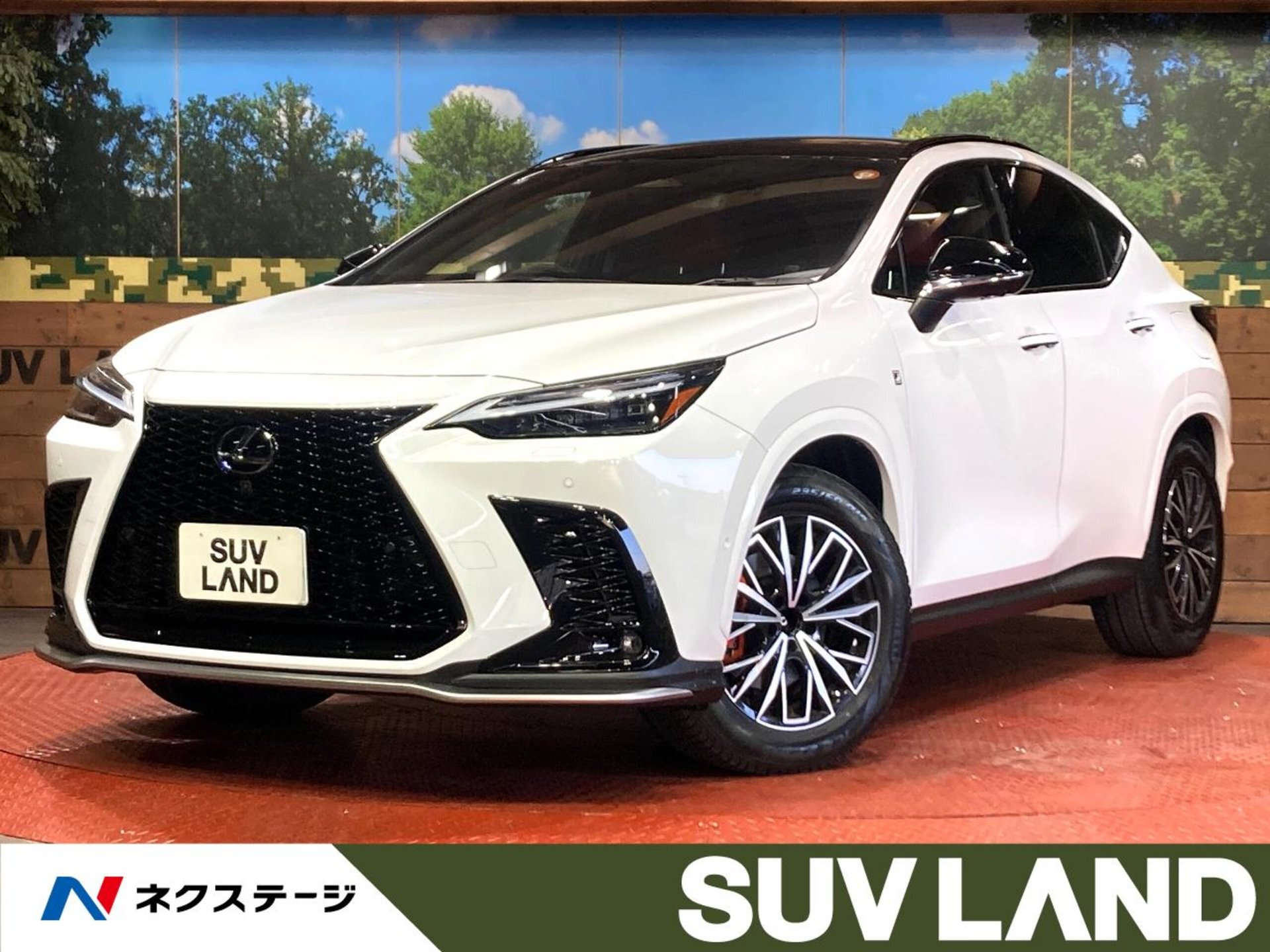 LEXUS NX - View 1