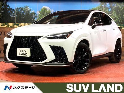 LEXUS NX - 2