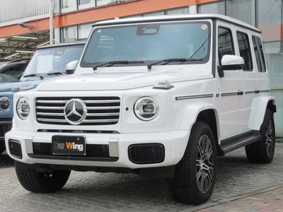MERCEDES-BENZ G-CLASS - 1