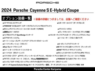 2024 Porsche CAYENNE 照片 2
