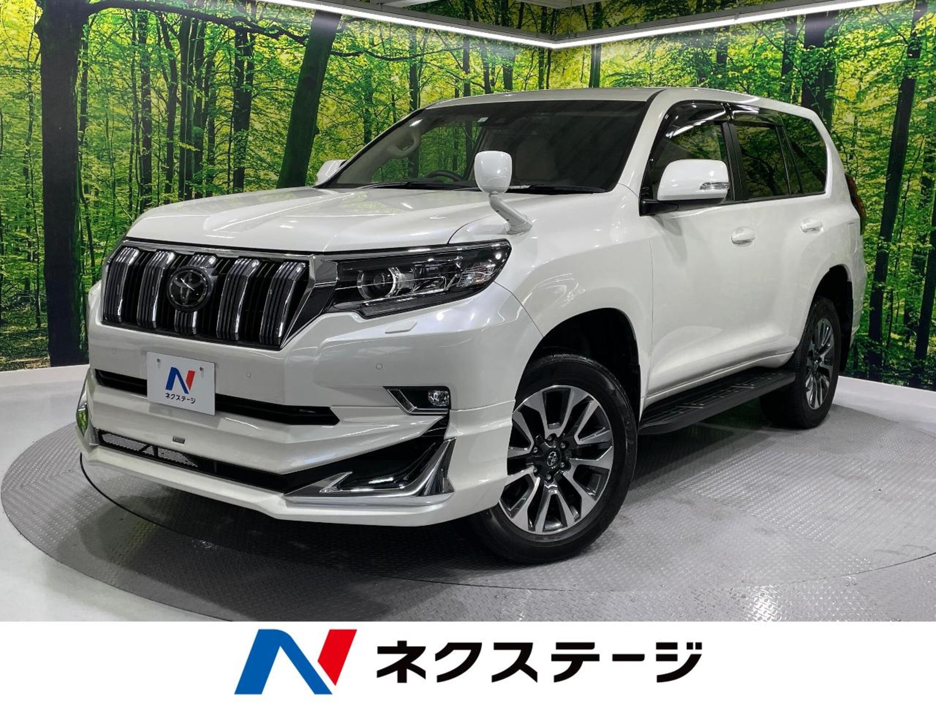TOYOTA LAND CRUISER PRADO - View 1