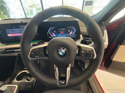 2025 BMW X2 photo 10