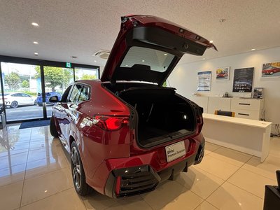 2025 BMW X2 photo 6