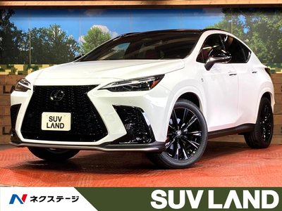 LEXUS NX - 1