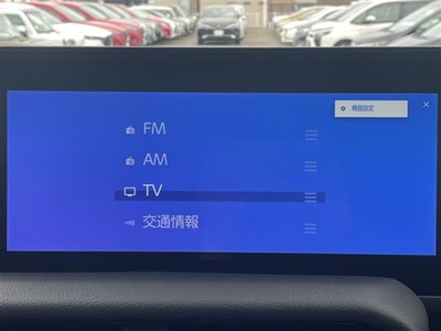 TOYOTA LAND CRUISER 250 - 5