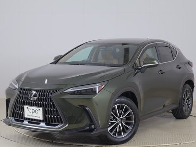 LEXUS NX - 1