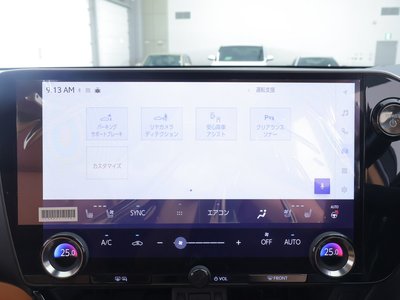 LEXUS NX - 10