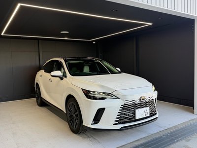 LEXUS RX - 4