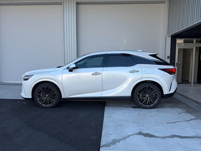 LEXUS RX - 6