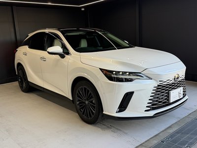 LEXUS RX - 2