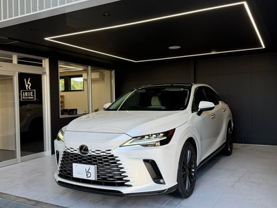 LEXUS RX - 1