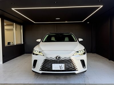 LEXUS RX - 3
