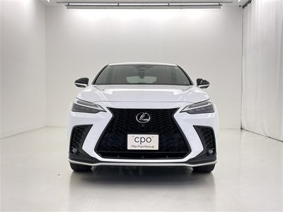 2023 Lexus NX 照片 4