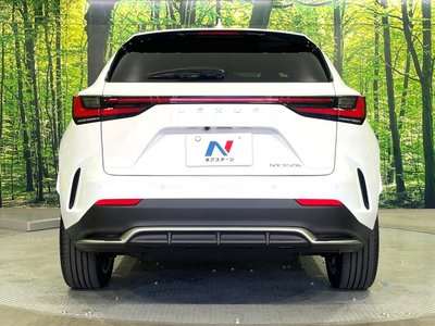 2024 Lexus NX — миниатюра 15