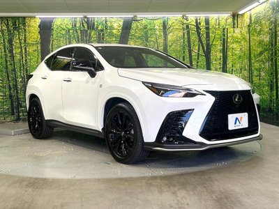2024 Lexus NX — миниатюра 16