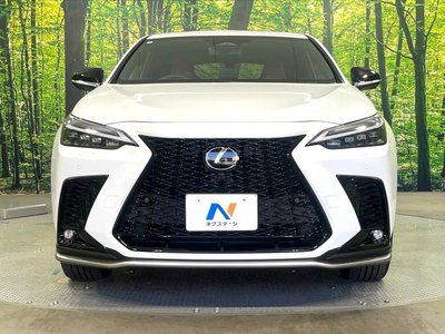 2024 Lexus NX — миниатюра 14