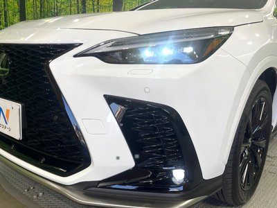 2024 Lexus NX — миниатюра 12