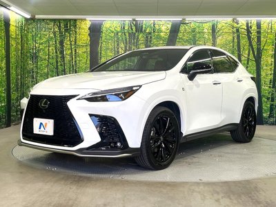 2024 Lexus NX — миниатюра 58
