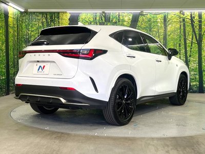 2024 Lexus NX — миниатюра 17
