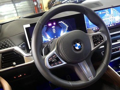 2025 BMW X6 — миниатюра 13