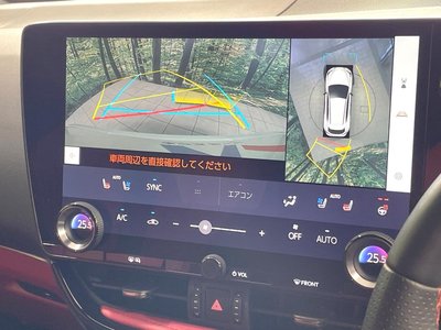 LEXUS NX - 6
