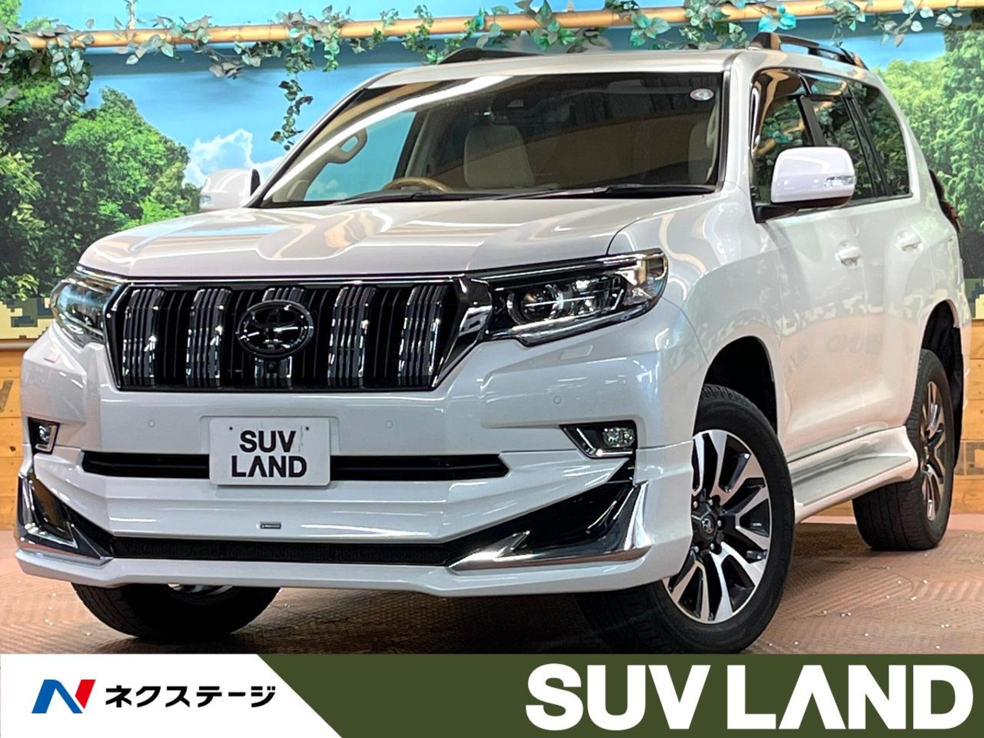 TOYOTA LAND CRUISER PRADO - View 1