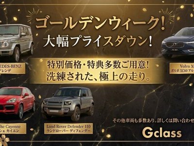 MERCEDES-BENZ G-CLASS - 2