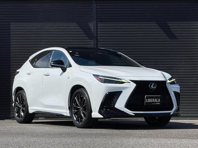 2022 Lexus NX — миниатюра 54