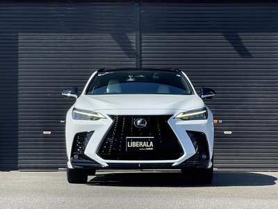 2022 Lexus NX — миниатюра 53
